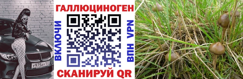 Псилоцибиновые грибы ЛСД  Артёмовск 